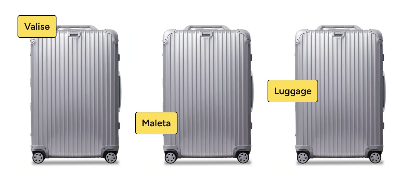 Corporate language training suitcases